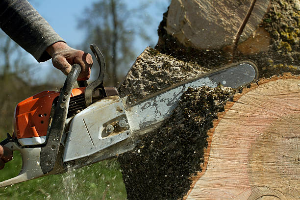 Best Utility Line Clearance  in Downers Grove, IL